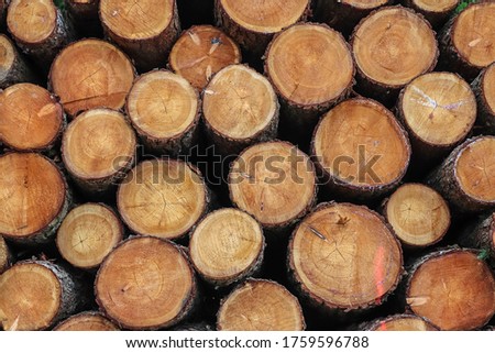 Detailed close up texture of stacked firewood with annual rings in high resolution