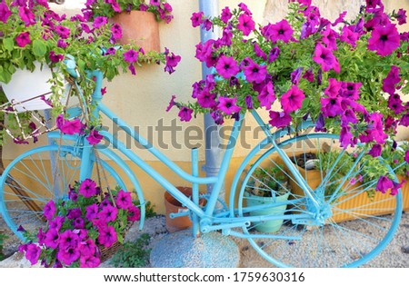 Charming decorative bicycle with pink summer flower
