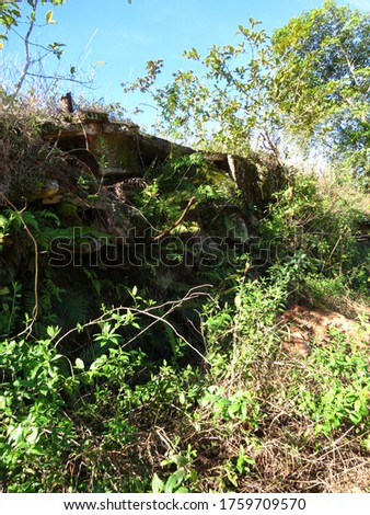 Penal Institute Ruins in Ilha Grande RJ Brasil  Royalty-Free Stock Photo #1759709570