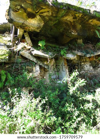 Penal Institute Ruins in Ilha Grande RJ Brasil  Royalty-Free Stock Photo #1759709579