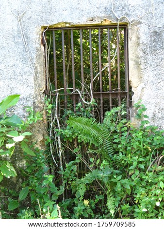 Penal Institute Ruins in Ilha Grande RJ Brasil  Royalty-Free Stock Photo #1759709585