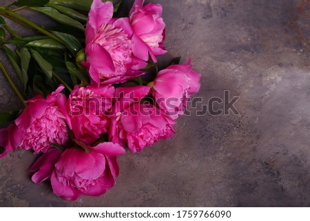 still life peonies flowers for background and decoration