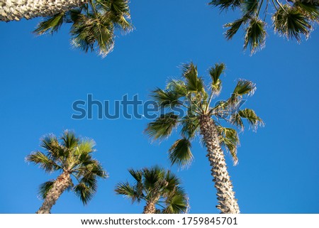 Imperial beach, SAn diego county, california on bright sunny morning