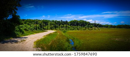 Panorama summer green field landscape with curved dirt road on blue sky background