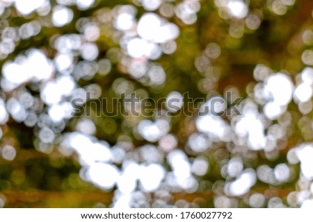 abstract blur bokeh of green Leaf background