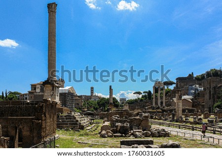 The amazing history in the Roman Forum.