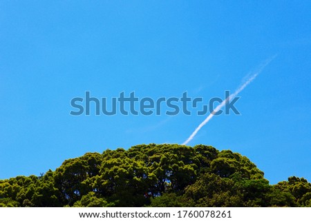 This is a picture of a contrail taken in summer.
