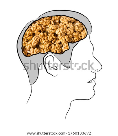 Food for brain, the human brain from the walnuts. Human silhouette with shelled walnuts on white background. Walnuts in shape of human brain. Walnut resembling brain. 
