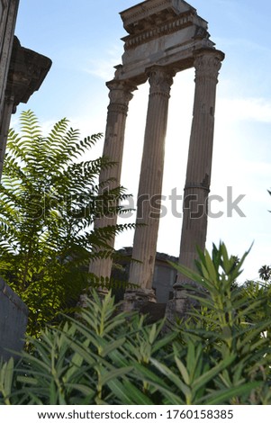 Photo of historic columns found in the ruins of the archaeological site of the Roman Forum located in Rome, Italy.