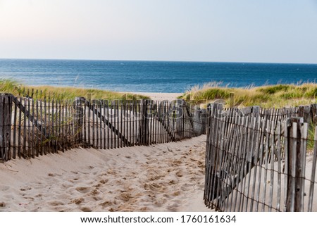 Path between sand fencing leading through sand and beach vegetation to sea Cape Cod USA.