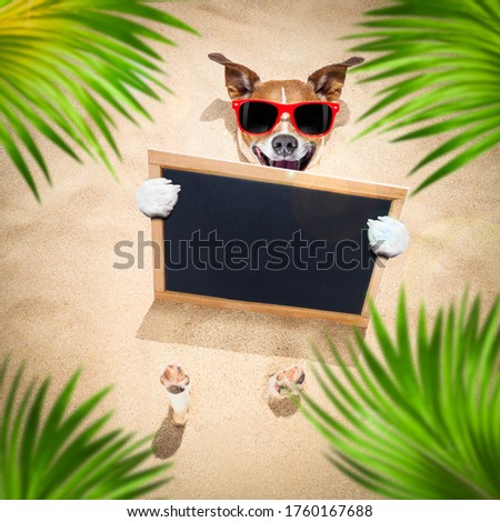 jack russell dog  buried in the sand at the beach on summer vacation holidays ,  wearing red sunglasses, holding a blank banner or placard blackboard