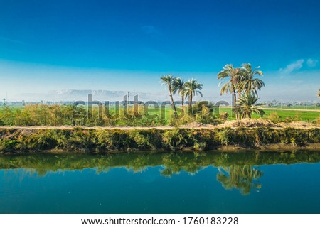 Egyptian countryside near the Nile irrigation canal . Green landscape,  palm trees in the Nile Valley. Egypt.  Royalty-Free Stock Photo #1760183228