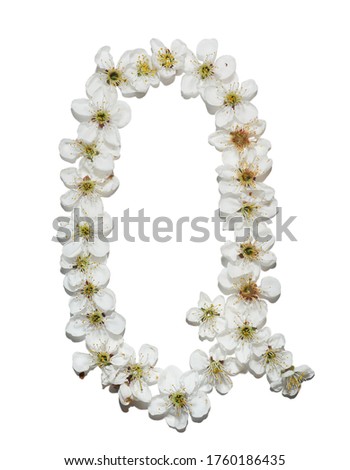 english alphabet consisting of flowers