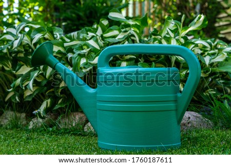 A large green watering can stands on the grass next to a flower bed in which Khost flowers grow.