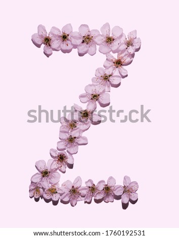 
english alphabet consisting of flowers on a pink background