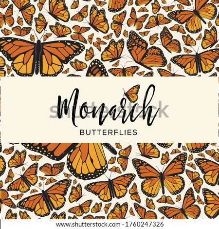 Monarch Butterflies from Angangueo, Michoacán; México and Canada Composition – Copy Space