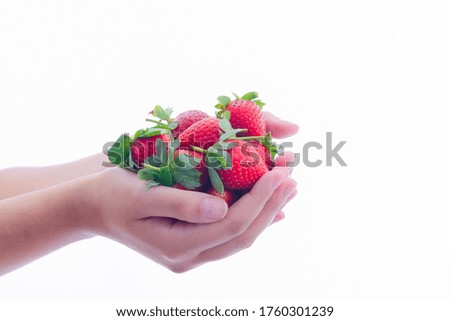 Close up of female hands holding a bunch of delicious looking strawberries on a light background. Healthy food and lifestyle concept.