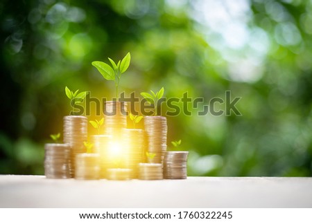 Silver coins arranged Show tree growth With natural background

