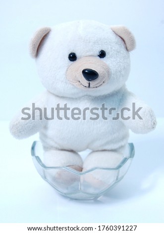 a photo of a dusty white teddy bear