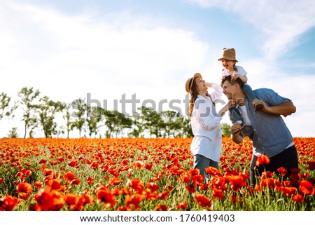 Family with a child walking on a poppy field. Mother, father, little daughter having fun on the poppy field. Summertime.