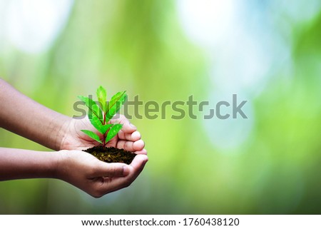Plant growing on soil with hand holding over sun and sunlight ray . the concept of a new life after a pandemic. HD Image and Large Resolution. can be used as wallpaper and background.