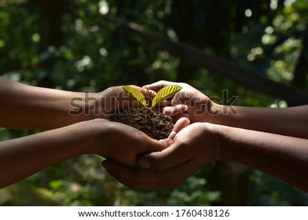 farmers family hands holding a fresh young plant over sun and sunlight ray, symbol of new life and environmental conservation. HD Image and Large Resolution. can be used as wallpaper and background.