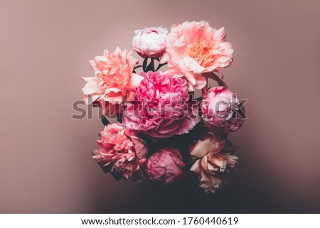 Abundance of Peonies Bouquet, Fresh bunch of flowers on dusty rose background. Card Concept, copy space for text