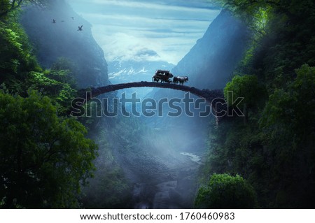 brigde in the fantasy forest Royalty-Free Stock Photo #1760460983