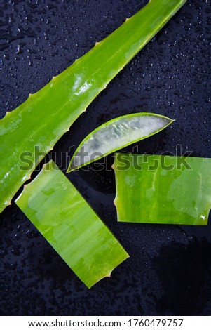 Some sections of an aloe vera leaf on a black background