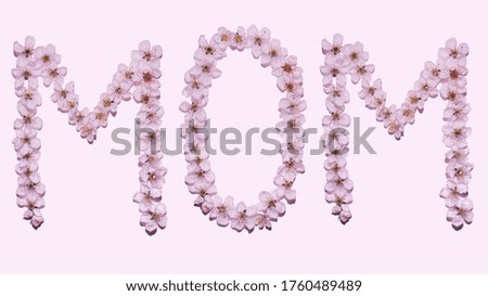 phrase "mom" created from flowers on a pink background, top view