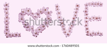 phrase "love" created from flowers on a pink background, top view