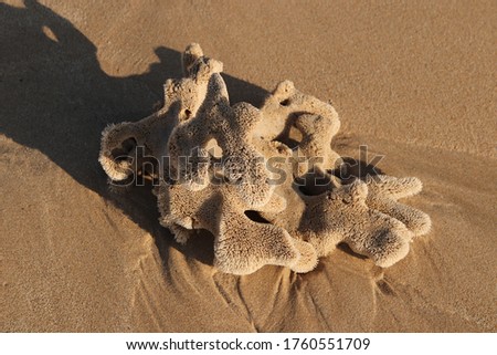 A still life photo of a sea sponge that has washed up on a beach. 