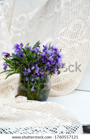 Pansies bloom in a glass vase on a white background.