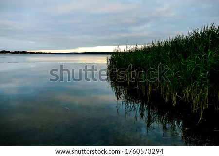 lake in forest, beautiful photo digital picture