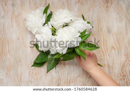 White peony Flowers on a white wooden background. The hand holds a bouquet.
