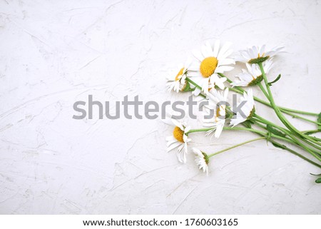 Flowers on wooden board top view