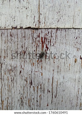 
fly on a wooden surface