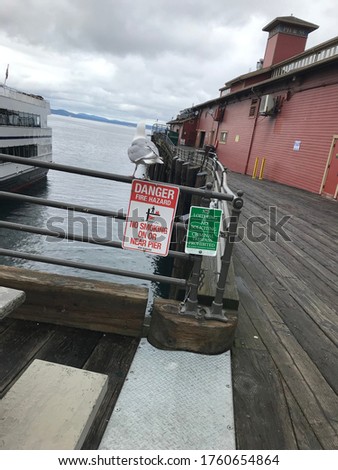 Warning “no smoking” “no lotering” on pier with a seabird . Pier 57, Seattle