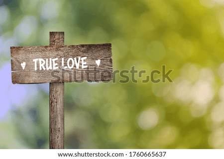 Wooden plaque with inscription True Love outdoors, space for text 