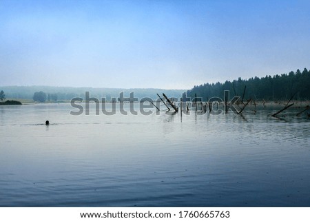 Floating man in the morning forest lake in the Zalesovsky district of the Altai territory.