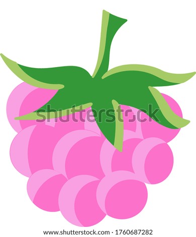 Vector minimal illustration of a pink raspberry with leaves.