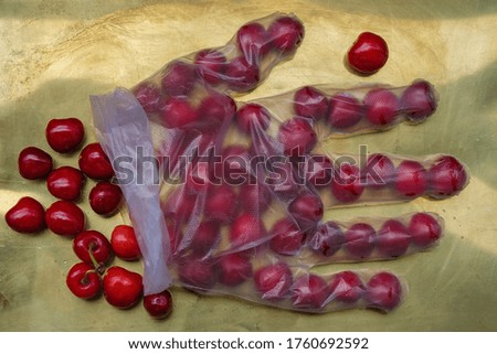 Ripe cherries isolated in latex glove on a gold background. Texture of disposable gloves.