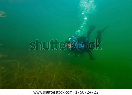 SCUBA diver swimming though fresh water weeds