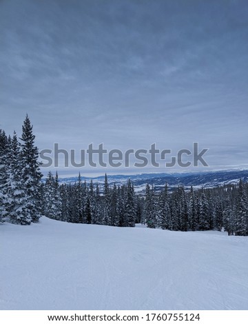 Winter forest on ski mountain