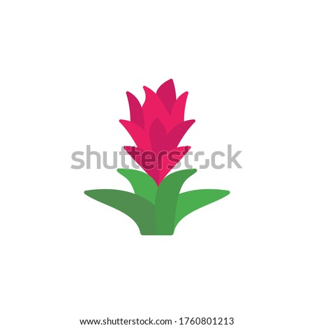 Bromeliaceae leaf icon. Simple color vector elements of botanicals icons for ui and ux, website or mobile application Royalty-Free Stock Photo #1760801213