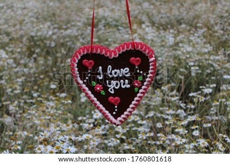 gingerbread heart in front of a field with marguerites with the text I love you