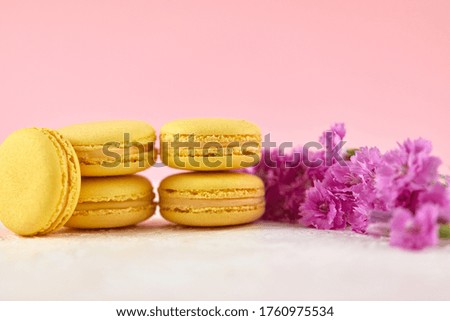 delicate yellow macarons dessert with pink flowers on pink background