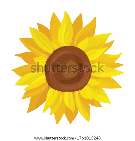 Sunflower vector icon.Cartoon vector icon isolated on white background sunflower.