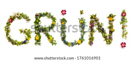 Flower And Blossom Letter Building Word Gruen Means Green
