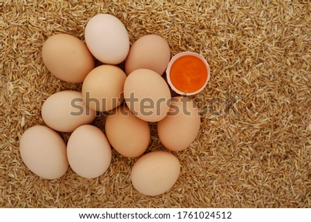 Close up heap of Eggs and yolk egg in shell on yellow rice husk background with copy space. Selective focus.